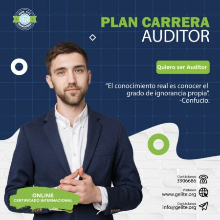 CURSO-PLAN-CARRERA-AUDITOR-GRUPO-ELITE-ORGANIZACIONAL
