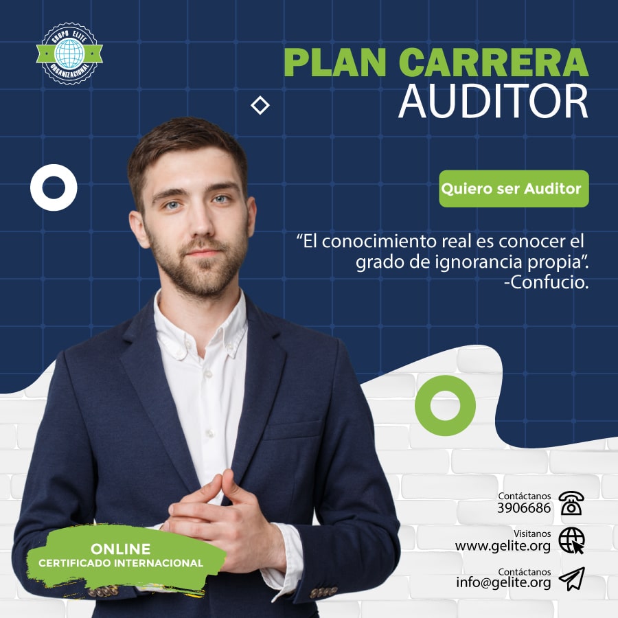 Plan Carrera Auditor