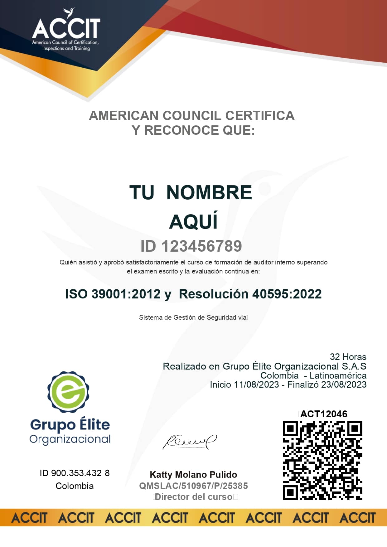 Curso Auditor Seguridad Vial Iso